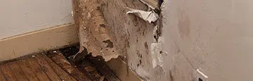 logo-image - banner-small-damage-wgr-28