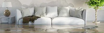 logo-image - banner-small-flood-wgr-28